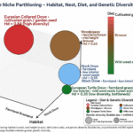 Niche partitioning of the Collard Dove