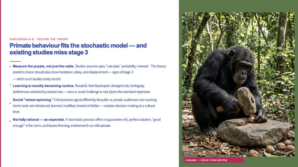 How organisms make choices. A Chimpanzee cracking nuts.